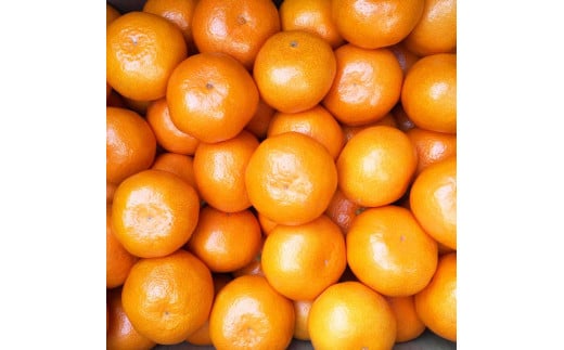 【ご家庭用】和歌山有田みかん約5kg(2L、3Lサイズ)【美浜町】〇