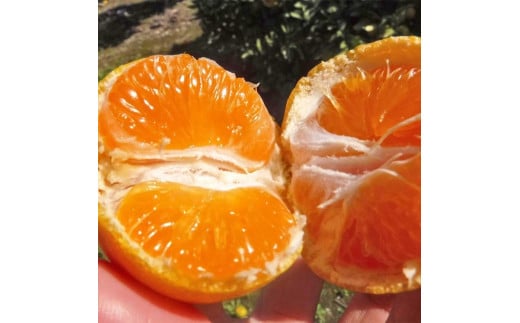 【ご家庭用】和歌山有田みかん約5kg(2L、3Lサイズ)【美浜町】〇