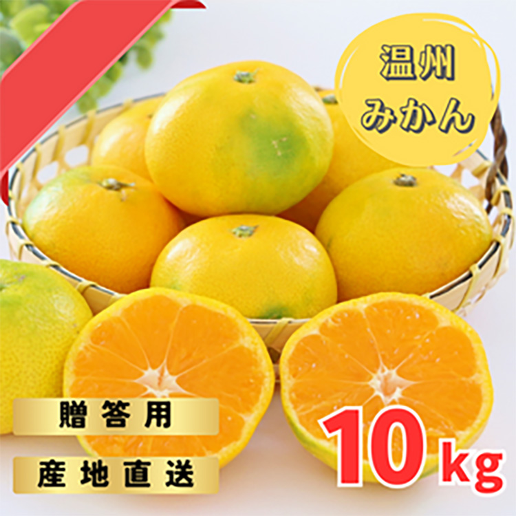 〈先行予約〉ゆら早生みかん贈答用特選　10kg箱入り | みかん 早生みかん 早生 贈答用 ギフト 旬 柑橘 フルーツ 果物 果実 ミカン 産地直送 ※2025年10月中旬～10月下旬頃に順次発送予定