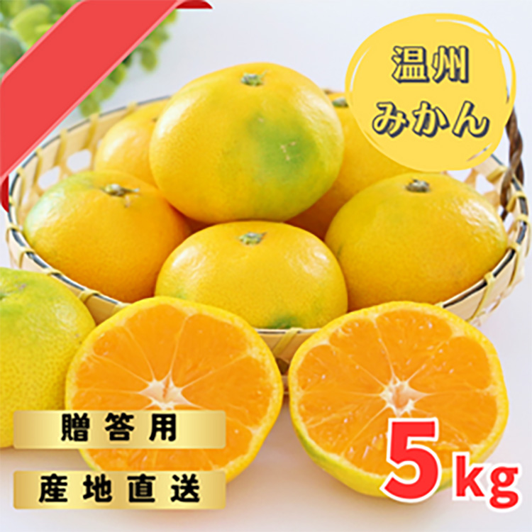 〈先行予約〉ゆら早生みかん贈答用特選　5kg箱入り | みかん 早生みかん 早生 贈答用 ギフト 旬 柑橘 フルーツ 果物 果実 ミカン 産地直送 ※2025年10月中旬～10月下旬頃に順次発送予定
