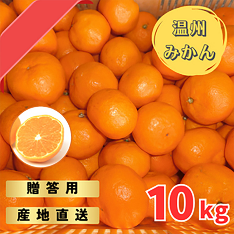 宮川早生みかん贈答用特選　10kg箱入 | みかん 早生みかん 早生 贈答用 旬 柑橘 フルーツ 果物 果実 ミカン 産地直送 ※2025年11月下旬～12月中旬頃に順次発送予定