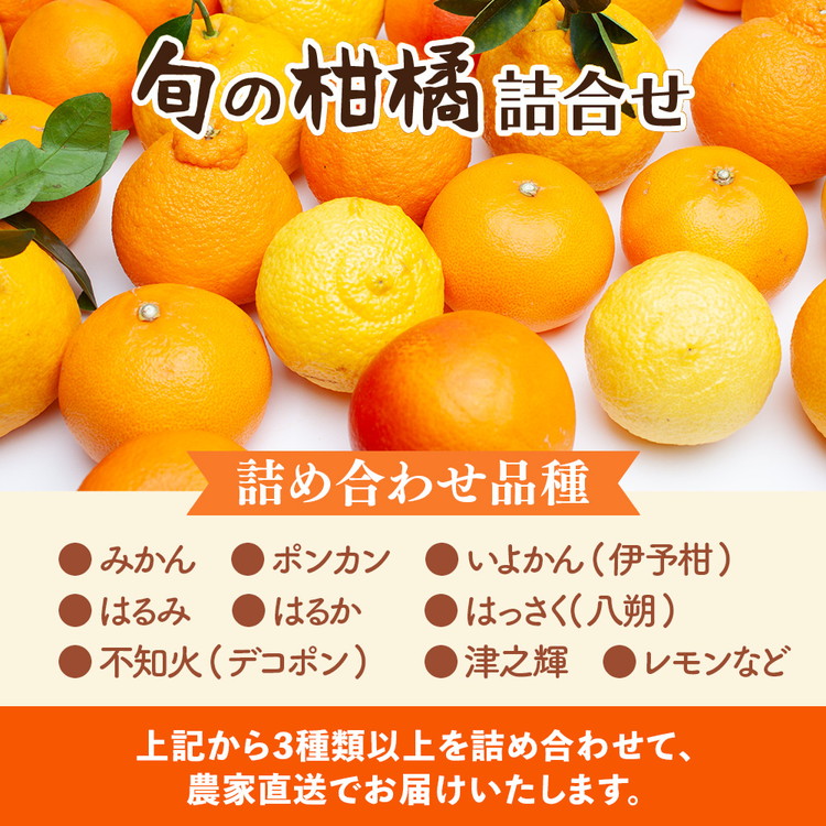 ＜1月より発送＞家庭用 柑橘詰合せ1kg+250g（傷み補償分）◇【訳あり・わけあり】【有田の春みかん詰め合わせ・フルーツ詰め合せ・オレンジつめあわせ】【光センサー選別】 ※北海道・沖縄・離島への配送不可 ※2026年1月上旬～4月下旬頃に順次発送予定
