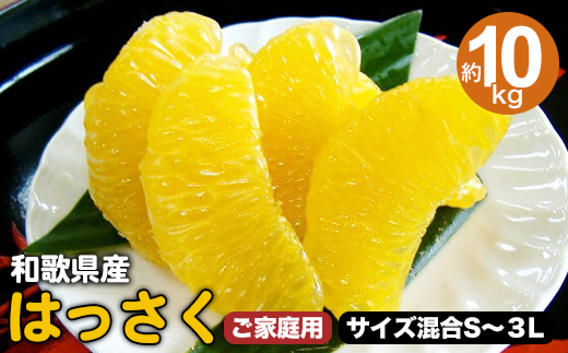 厳選黒潮レモン1.5kg+45g（傷み補償分）【和歌山有田産】【安心の国産