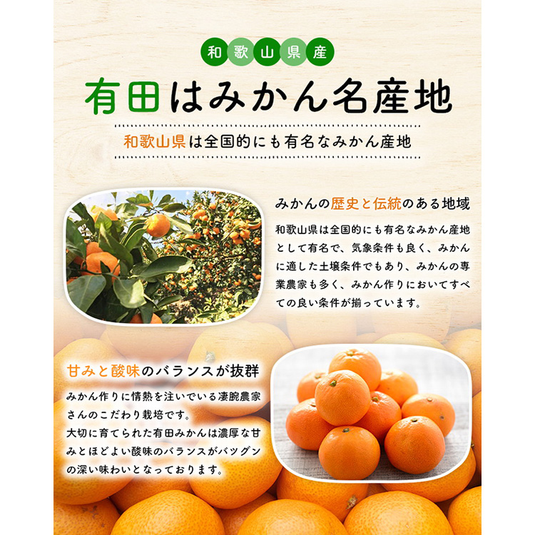 【先行予約】【数量限定】濃厚有田みかん(ご家庭用) 3.2kg(3kg+200g(傷み補償分))