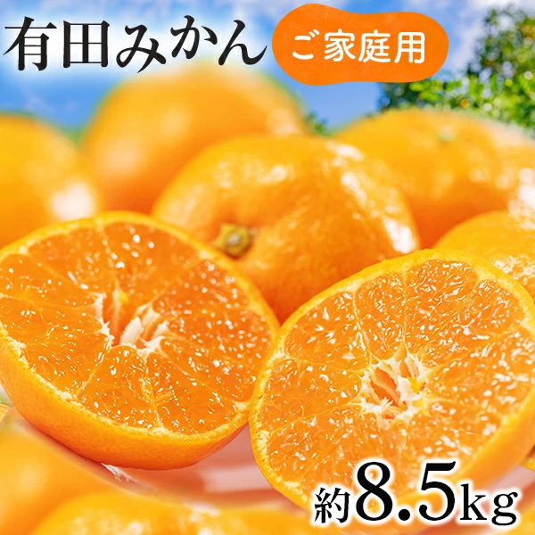 【先行予約】【数量限定】濃厚有田みかん(ご家庭用) 約8.5kg 【2024年11月上旬～11月下旬頃発送】または【2024年12月上旬～12月下旬頃発送】 ※北海道・沖縄・離島への配送不可