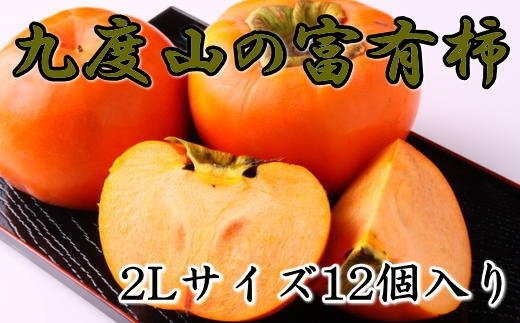 ≪柿の名産地≫九度山町の富有柿2Lサイズ12個入り ※着日指定不可 ※2024