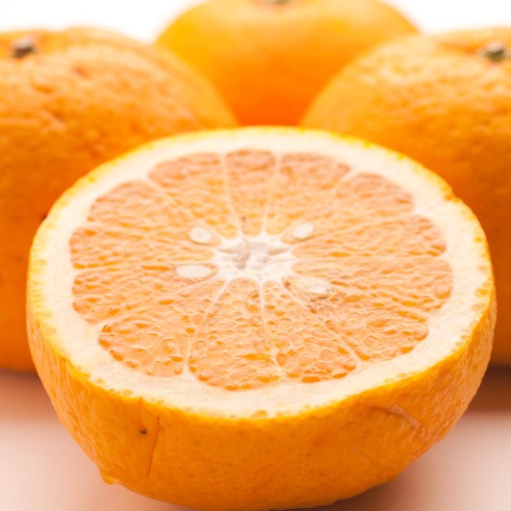 ïŒ4æããçºéïŒå³éž ç倿2.5kg+250gïŒå·ã¿è£ååïŒâãåå€ã®ã¿ããã»æ¬ã®æç©ããæç°ç£ããå
ã»ã³ãµãŒé£ã¹é åºè·ã â»åæµ·éã»æ²çžã»é¢å³¶ãžã®é
éäžå¯ãâ»2026幎4æäžæ¬ïœ5æäžæ¬é ã«é 次çºéäºå®