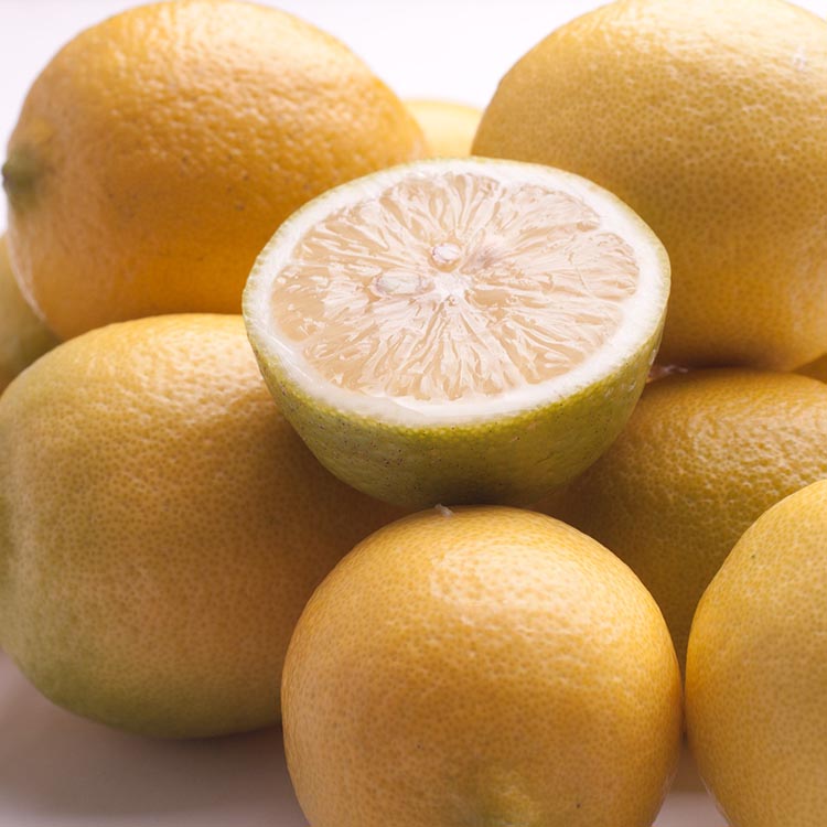 ïŒ9æããçºéïŒã¬ã¢ã³2.5kg+250gïŒå·ã¿è£ååïŒãåæå±±æç°ç£ããé²è
å€ã»WAXäžäœ¿çšãå®å¿ã®åœç£ã¬ã¢ã³ã â»åæµ·éã»æ²çžã»é¢å³¶ãžã®é
éäžå¯ â»2025幎9æäžæ¬ïœ2026幎4æäžæ¬é ã«é 次çºéäºå®