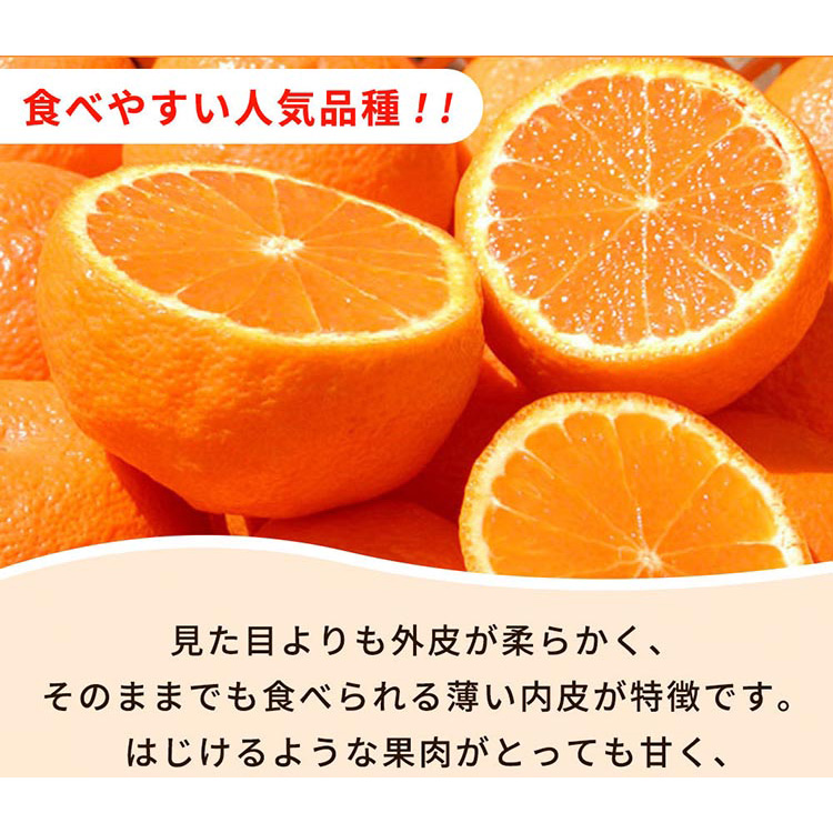 紀州有田産不知火(しらぬひ) 2.5kg
※2025年2月中旬～3月中旬頃に順次発送予定