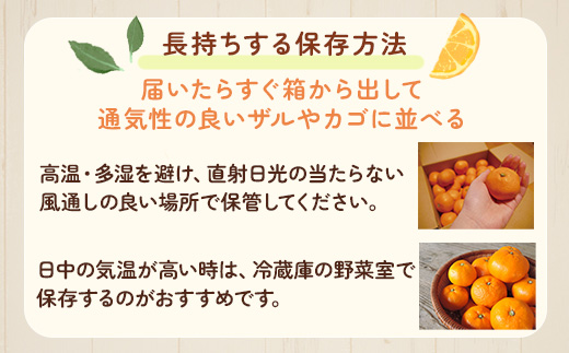 家庭用 小玉な有田みかん5kg+250g（傷み補償分）【わけあり・訳あり】【光センサー選果】 