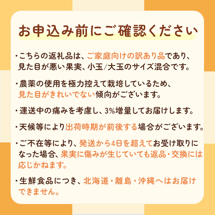 家庭用 蔵出しみかん7kg+210g（傷み補償分）わけあり｜有田の蔵出しみかん　わけあり・訳あり　光センサー選果　※北海道・沖縄・離島への配送不可　※2025年1月中旬～2月下旬頃に順次発送予定