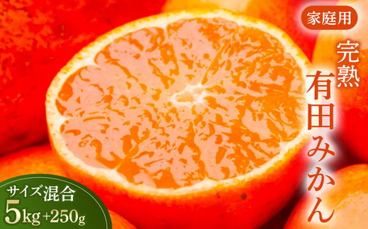 家庭用 完熟 有田みかん5kg+250g（傷み補償分）サイズ混合