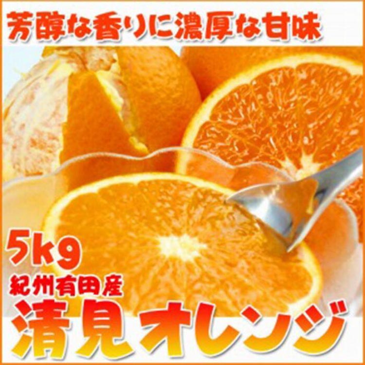 〈定期便〉【2・4・6・8・10・12月 全6回】和歌山産 旬のフルーツ お楽しみ 定期便 【魚鶴】◇