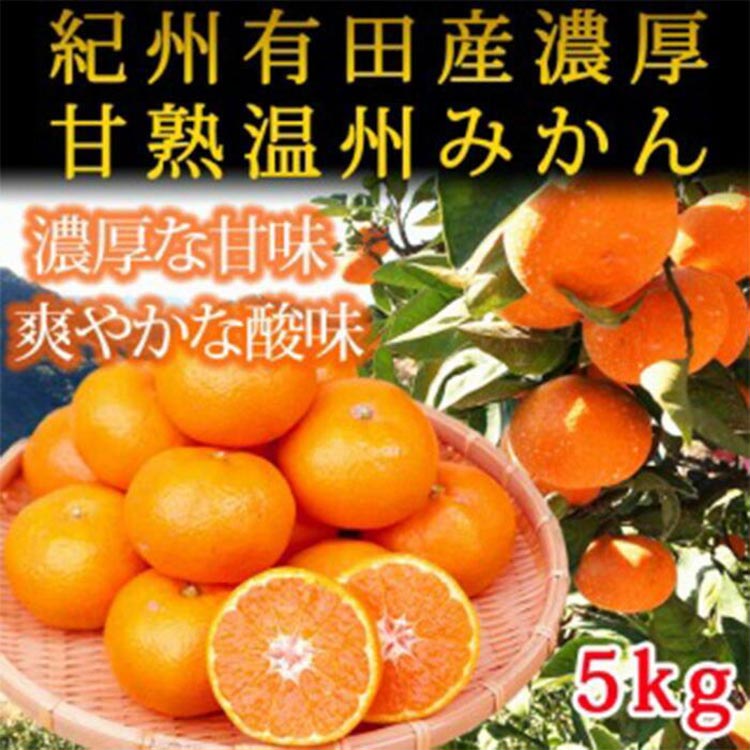 〈定期便〉【2・4・6・8・10・12月 全6回】和歌山産 旬のフルーツ お楽しみ 定期便 【魚鶴】◇