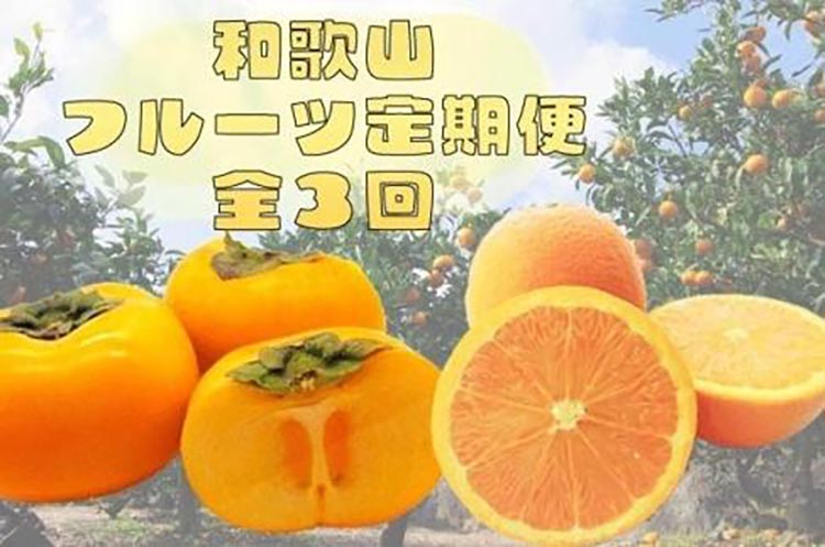 〈定期便〉【10・11・12月 全3回】和歌山人気のフルーツ定期便（柿・みかん）【魚鶴商店厳選】