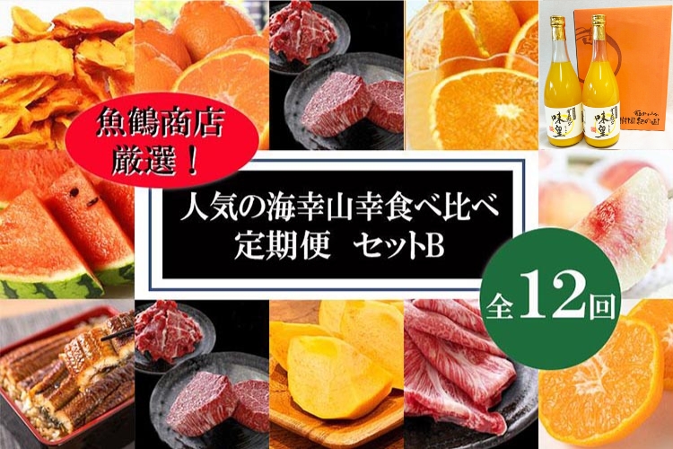 〈毎月定期便〉人気の海幸山幸食べ比べ セットB 【定期便全12回】【魚鶴厳選】◆