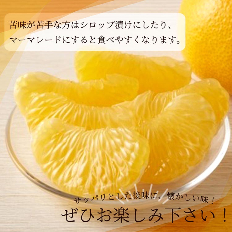 紀州和歌山産八朔（はっさく）約10kg◇ ※2025年2月上旬～2月下旬頃に順次発送予定