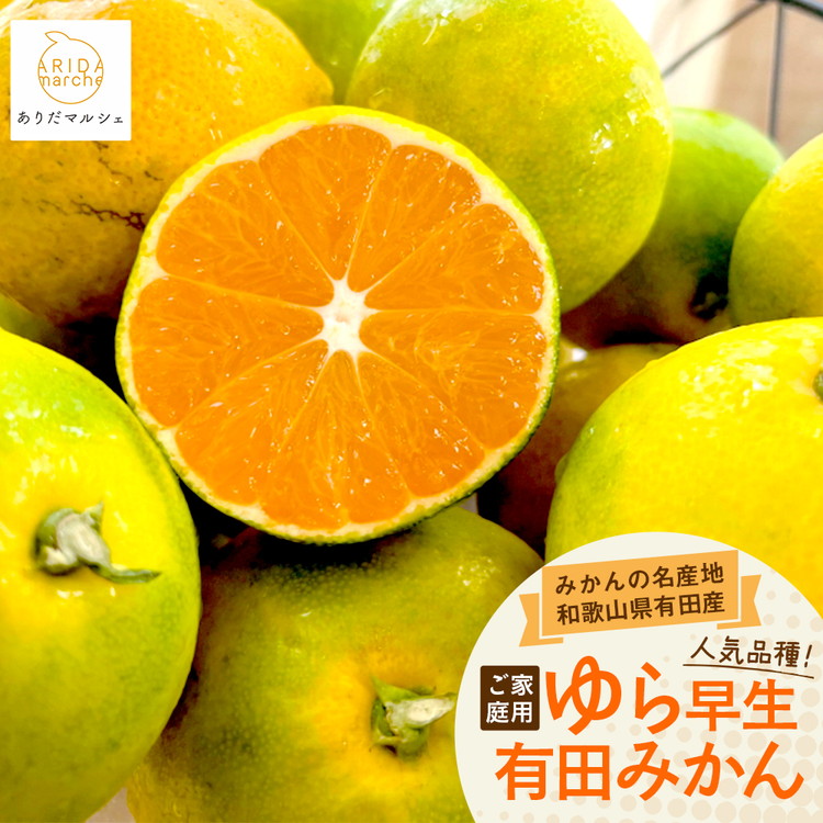 【先行予約】【秋の美味】【農家直送】ゆら早生有田みかん（ご家庭用）1.2kg(1kg+200g(傷み補償分))  ふるさと納税 みかん
