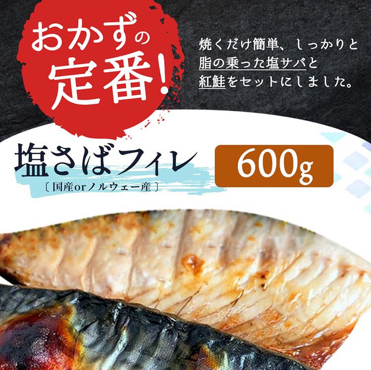 〈毎月定期便〉【ご家庭用訳あり】人気の塩さばフィレ&紅鮭切身セット計1kg 全3回◇ ※離島への配送不可