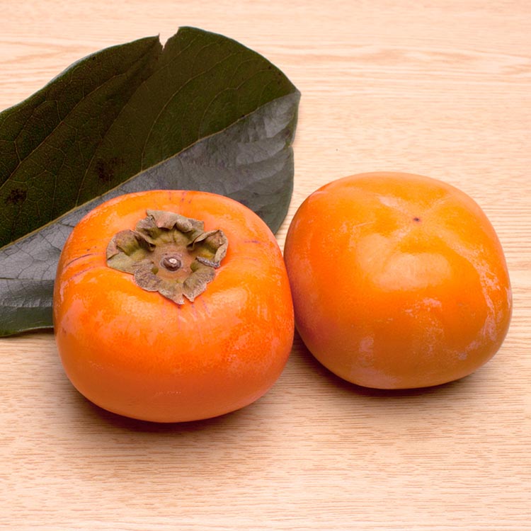 ＜10月より発送＞厳選たねなし柿1.5kg【刀根早生・平核無柿（ひらたねなしかき）】｜カキ・種無柿・種無し柿・種なし柿・無核柿 ※北海道・沖縄・離島への配送不可 ※2025年10月上旬～11月中旬頃に順次発送予定