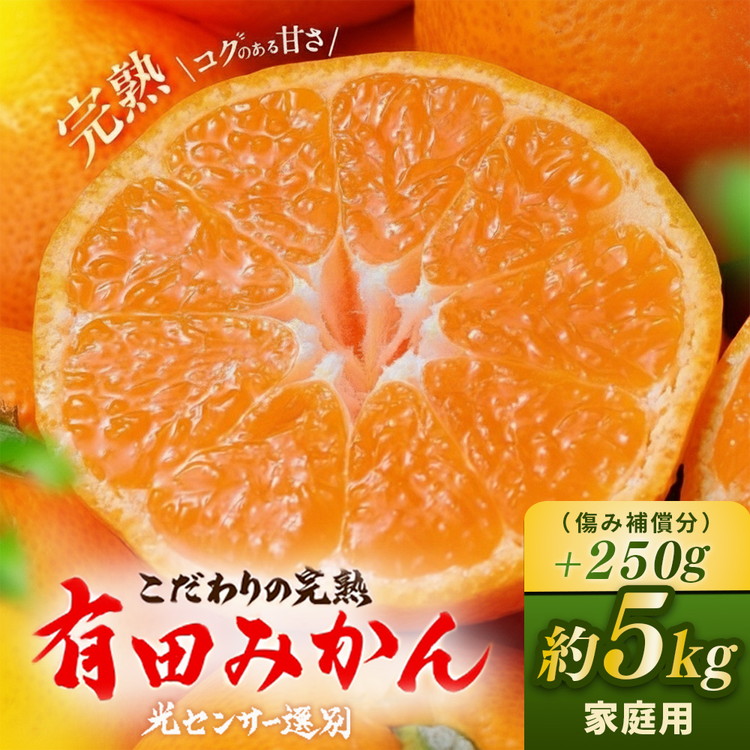 ＼光センサー選別／こだわりの完熟有田みかん 5kg＋250g(傷み補償分)【ご家庭用】サイズ混合 有機質肥料100% ｜ みかん 有田みかん 温州みかん ミカン 温州ミカン 柑橘 温州 甘い コク 産地直送◇※2025年11月中旬～2026年1月上旬頃に順次発送予定 ※北海道・沖縄・離島への配送不可