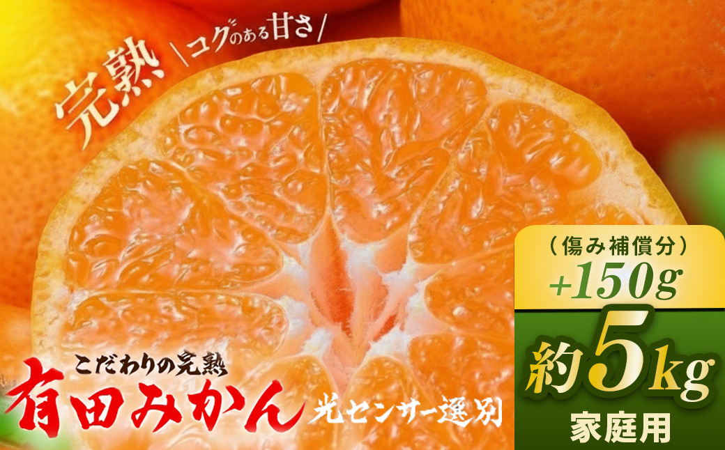 ＼光センサー選別／こだわりの完熟有田みかん 5kg＋150g(傷み補償分)【ご家庭用】サイズ混合 有機質肥料100% ｜ みかん 有田みかん 温州みかん ミカン 温州ミカン 柑橘 温州 甘い コク 産地直送