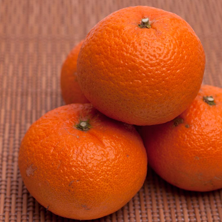 ïŒ2æããçºéïŒå³éž 接ä¹èŒ5kg+250gïŒå·ã¿è£ååïŒïœã€ã®ãããããå
ã»ã³ãµãŒéžå¥ã â»åæµ·éã»æ²çžã»é¢å³¶ãžã®é
éäžå¯ãïœ ææ© ãã«ãŒã æç© æ¿å æ¥ æ¬ åæå±± å
è¡äºçŽ éžã¹ã åœç£ ç£å°çŽé æ¥ææ© çŸæµçºãâ»2026幎2æäžæ¬ïœ4æäžæ¬é ã«é 次çºéäºå®