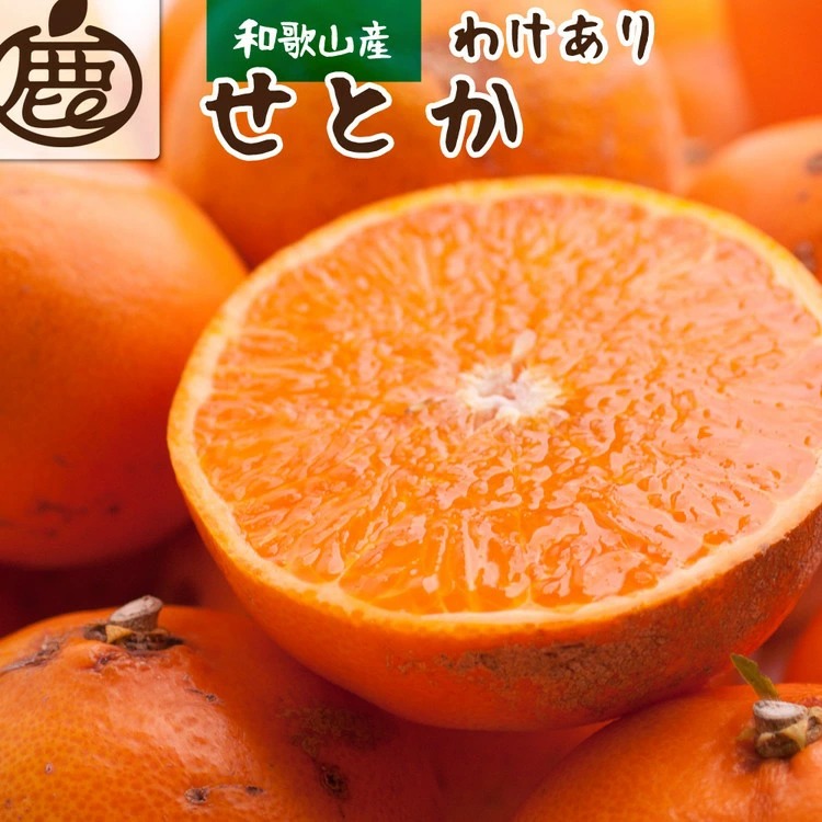 ＜2月より発送＞家庭用 せとか5kg+250g（傷み補償分）【柑橘・春みかんの王様】【光センサー選果・食べ頃出荷】訳あり わけあり ワケアリ ◇ ※北海道・沖縄・離島への配送不可 ※2026年2月中旬～3月下旬頃に順次発送予定
