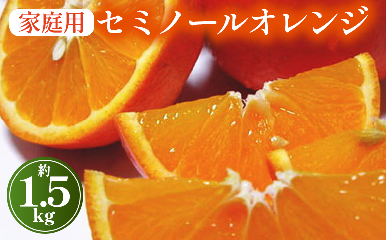 【先行予約】【春の美味】【農家直送】爽快カンキツ　セミノールオレンジ（ご家庭用）1.5kg ｜ 柑橘 フルーツ 果物 くだもの 食品 人気 おすすめ 選べる 国産 美浜町