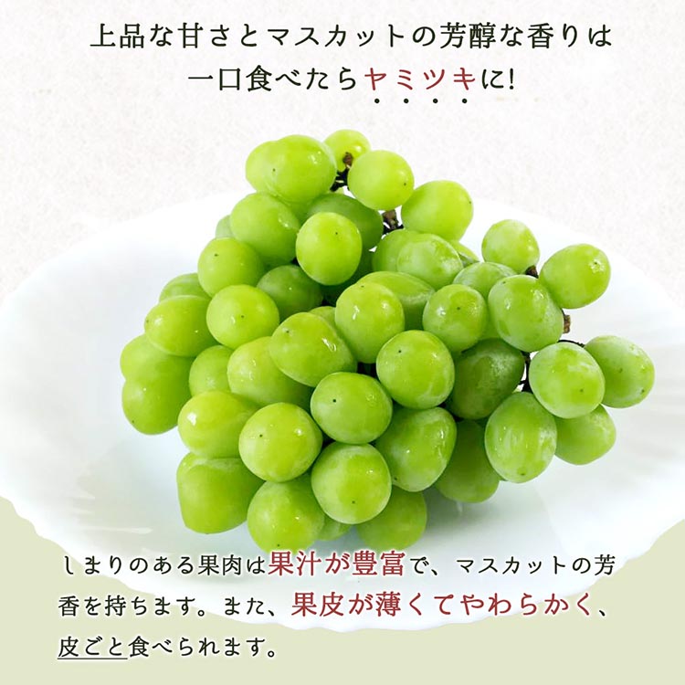 紀州和歌山産シャインマスカット2房（約1kg〜1.4kg） ※2025年8月下旬頃〜9月上旬頃に順次発送予定