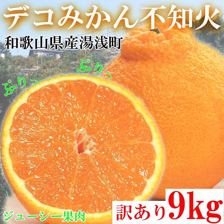 不知火（しらぬい） オレンジ みかん 家庭用 9kg ｜ 訳あり 和歌山みかん オレンジ フルーツ 果物 ※北海道・沖縄・離島への配送不可 ※2025年2月下旬～3月下旬頃に順次発送予定