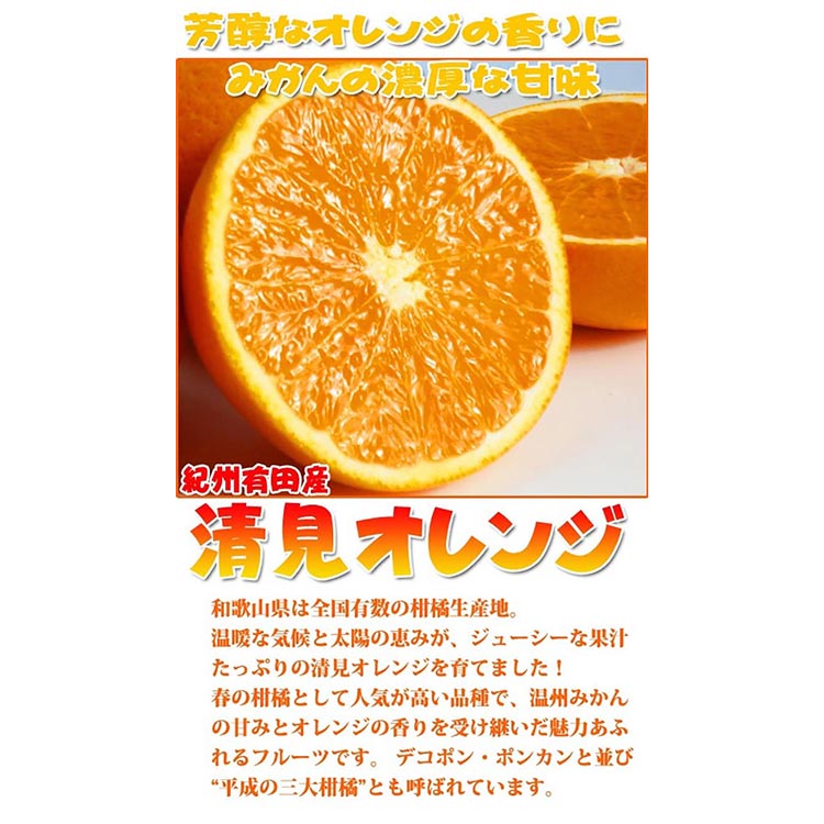 とにかくジューシー清見オレンジ　2.5kg
※2025年3月下旬～4月中旬頃に順次発送予定