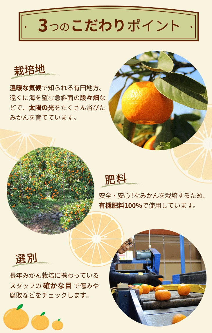 ＼光センサー選別／こだわりの完熟有田みかん 2kg【ご家庭用】サイズ混合 有機質肥料100% ｜ みかん 有田みかん 温州みかん ミカン 温州ミカン 柑橘 温州 甘い コク 産地直送◇