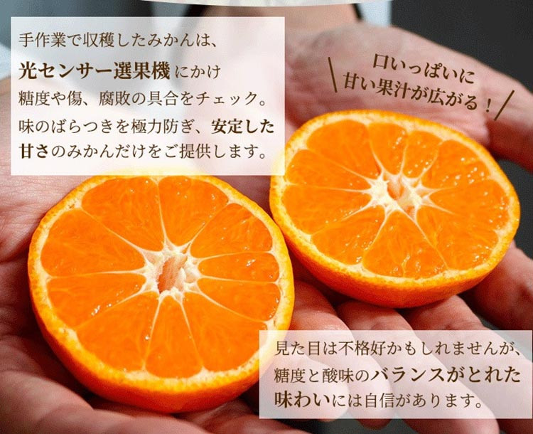 家庭用 完熟 有田みかん1kg＋30g（傷み補償分）サイズ混合　※北海道・沖縄・離島への配送不可　※2024年11月上旬～2025年1月下旬頃に順次発送予定