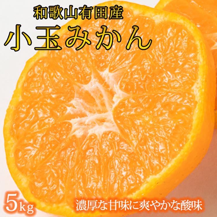 有田の小玉みかん5kg(S～3Sサイズ混合)※2024年11月下旬～2025年1月下旬頃に順次発送予定