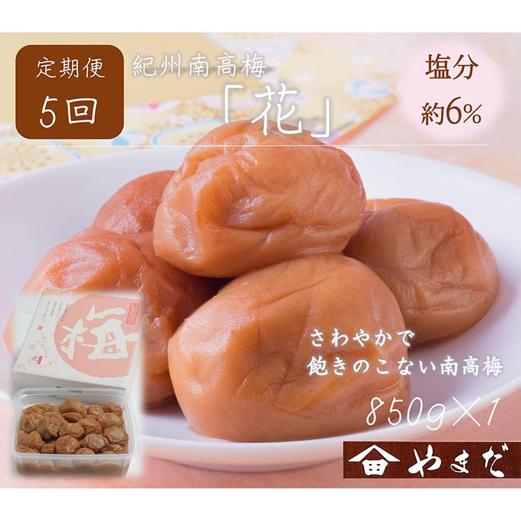 【定期便5回】紀州南高梅「花」塩分約6％（850g）