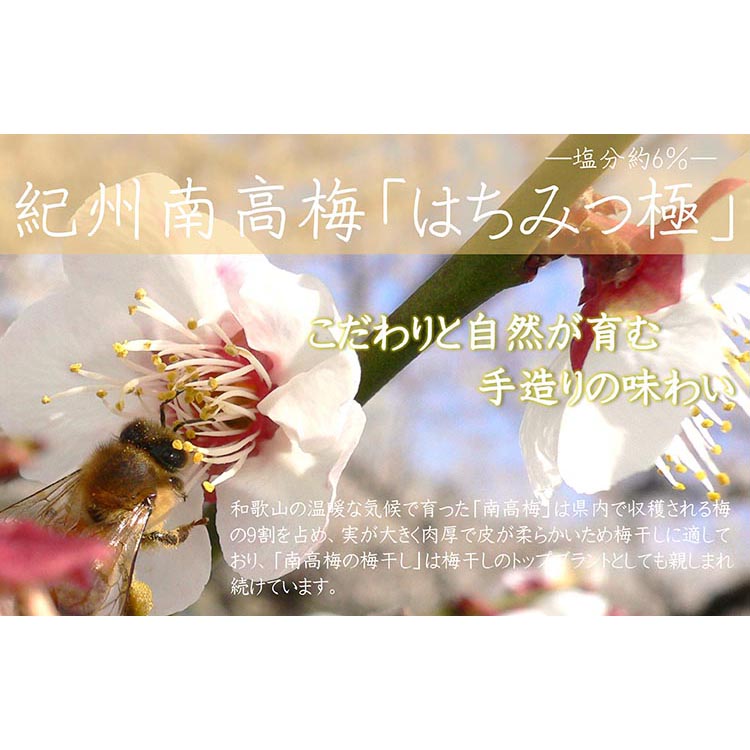 çŽå·å髿¢
ã¯ã¡ã¿ã€æ¥µå¡©åçŽ6ïŒ
ïŒ850gïŒ