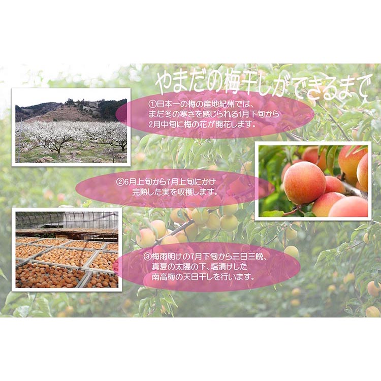 【定期便/3か月ごと/全3回】紀州南高梅はちみつ極塩分約6％（850g）