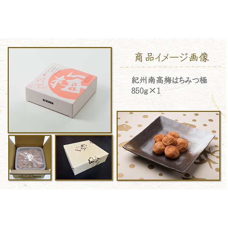 【定期便/2か月ごと/全5回】紀州南高梅はちみつ極塩分約6％（850g）