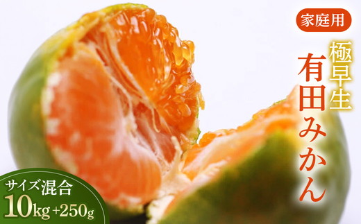 家庭用 極早生有田みかん10kg+250g（傷み補償分）【YN26・ゆら早生】【わけあり・訳あり】◇ ※北海道・沖縄・離島への配送不可 ※2025年10月上旬～11月中旬頃に順次発送予定