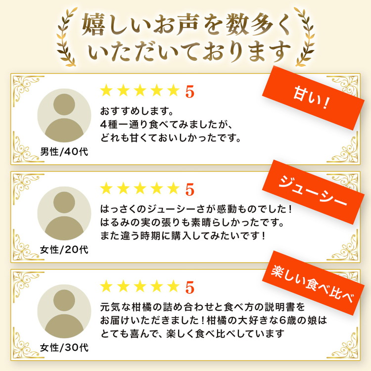 ＜1月より発送＞家庭用 柑橘詰合せ1kg+250g（傷み補償分）◇【訳あり・わけあり】【有田の春みかん詰め合わせ・フルーツ詰め合せ・オレンジつめあわせ】【光センサー選別】 ※北海道・沖縄・離島への配送不可 ※2026年1月上旬～4月下旬頃に順次発送予定