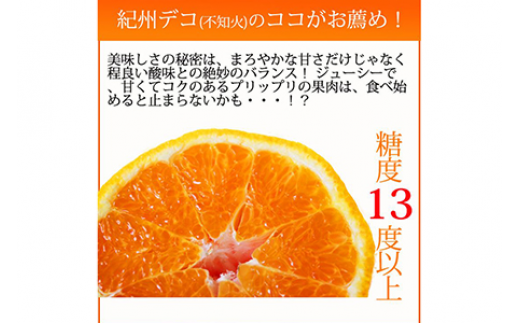 果肉プリプリ♪　完熟紀州デコ(不知火) 約5kg ｜ 柑橘 不知火 デコポン みかん フルーツ 果物 旬 先行予約 でこぽん 国産 産地直送 完熟 一級品  美浜町 ※2026年2月下旬～3月下旬頃に順次発送予定