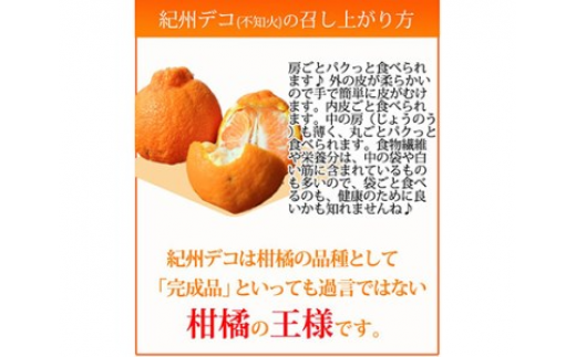 果肉プリプリ♪　完熟紀州デコ(不知火) 約5kg ｜ 柑橘 不知火 デコポン みかん フルーツ 果物 旬 先行予約 でこぽん 国産 産地直送 完熟 一級品  美浜町 ※2026年2月下旬～3月下旬頃に順次発送予定