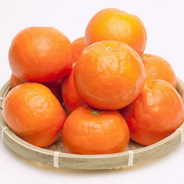 ïŒ4æããçºéïŒå³éžã»ãããŒã«ãªã¬ã³ãž5kg+250gïŒå·ã¿è£ååïŒâãæ¥ã¿ããããæç°ç£ããå
ã»ã³ãµãŒé£ã¹é åºè·ã â»åæµ·éã»æ²çžã»é¢å³¶ãžã®é
éäžå¯ â»2026幎4æäžæ¬ïœ5æäžæ¬é ã«é 次çºéäºå®