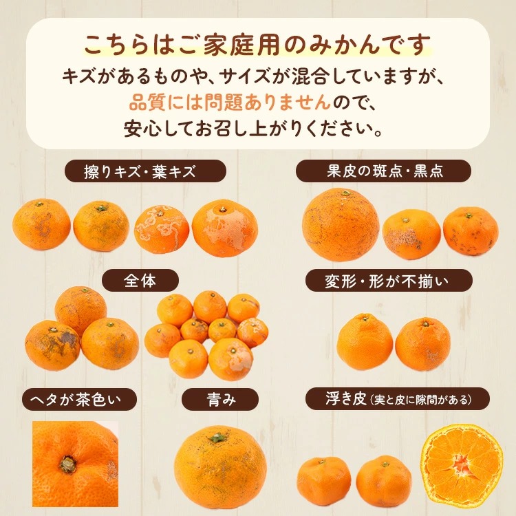 〈10月より発送〉ゆら早生 プレミアム有田みかん 10kg+250g（傷み補償分） ｜ 柑橘 果物 フルーツ 糖度 甘い 濃厚 コク ジューシー 光センサー