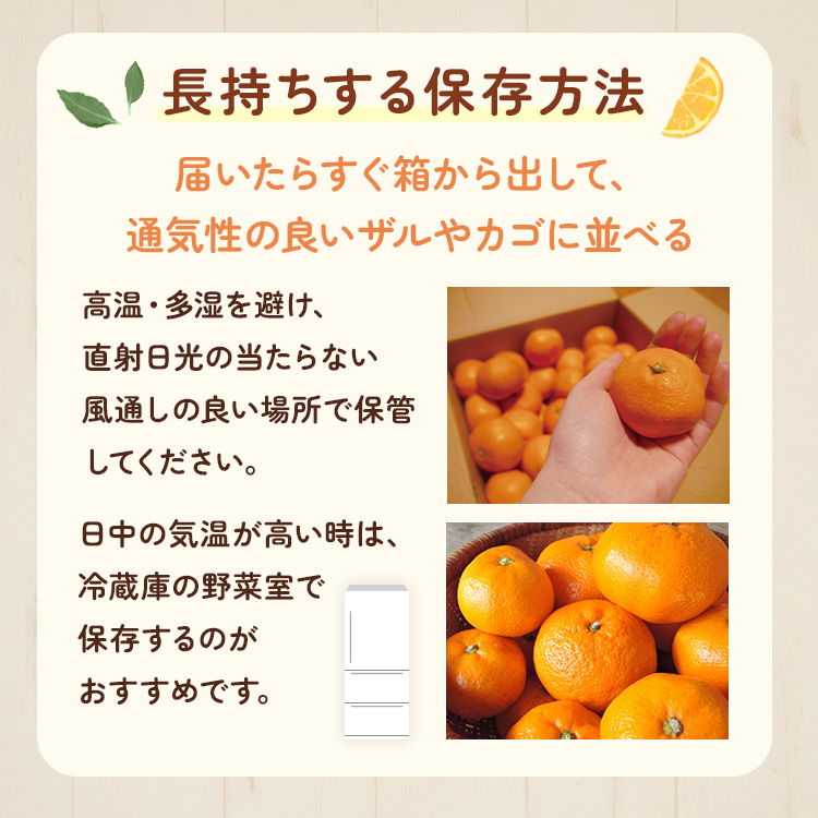 〈10月より発送〉ゆら早生 プレミアム有田みかん 10kg+250g（傷み補償分） ｜ 柑橘 果物 フルーツ 糖度 甘い 濃厚 コク ジューシー 光センサー