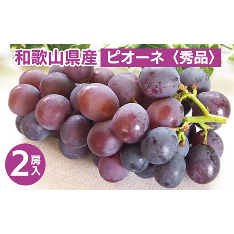 ◆先行予約◆ 和歌山県産 ピオーネ 2房入り〈秀品〉 ※2025年8月下旬～9月上旬頃に順次発送予定 ※離島への配送不可