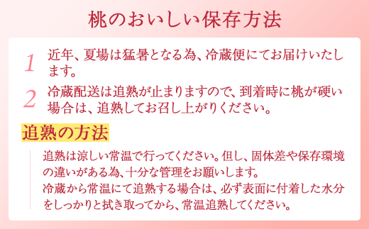 【産直・人気の特産品】和歌山の桃　3玉入り※着日指定不可
