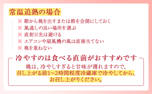 【産直・人気の特産品】和歌山の桃　約4kg・秀品 ｜ モモ 国産 フルーツ お取り寄せ ギフト