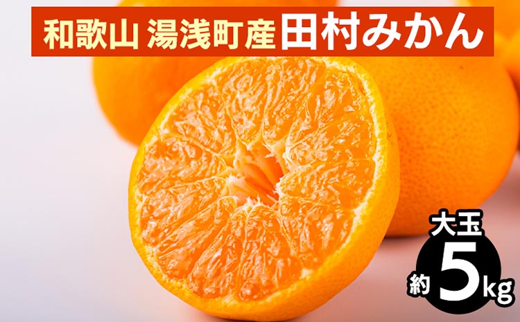 【先行予約】 田村みかん 約5kg 【大玉】 和歌山県 湯浅町 田村地区産